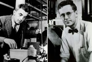 Felix Bloch (left) and Edward Purcell (right) were co-winners of the 1952 Nobel Prize for their discoveries in MRI.